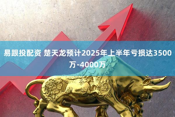 易跟投配资 楚天龙预计2025年上半年亏损达3500万-4000万